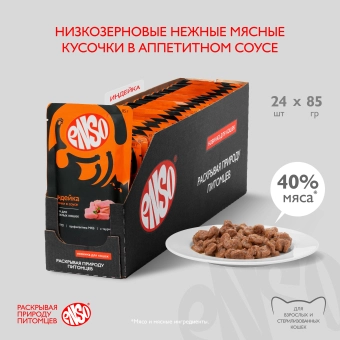Паучи Enso Basic полнорационный корм для взрослых кошек кусочки в соусе с индейкой
