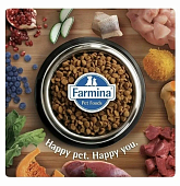 Сухой Корм Farmina N&D Quinoa Cat Grain Free Weight Management Lamb беззерновой корм для...