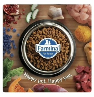 Корм Farmina N&D Quinoa Cat Neutered для стерилизованных кошек и кастрированных котов с киноа, уткой, брокколи и спаржей