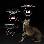 Влажный корм PRO PLAN® Delicate Digestion для кошек для чувствительного пищеварения с индейкой, ягненком, рыбой Влажный корм PRO PLAN® Delicate Digestion для кошек для чувствительного пищеварения с индейкой, ягненком, рыбой