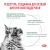 Корм Royal Canin Satiety Weight Management SAT34 для кошек при избыточном весе