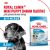 Корм для собак Royal Canin Корм Mini Puppy сухой для щенков мелких размеров до 8 месяцев