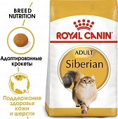 Royal Canin Siberian Adult корм сухой для взрослых кошек породы Сибирская от 12 месяцев