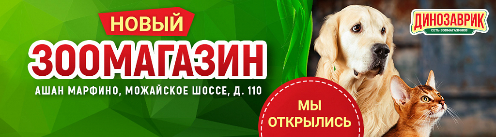 Динозаврик Интернет Магазин Товаров Для Животных Москва Динозаврик Интернет Магазин Товаров Для Животных Москва