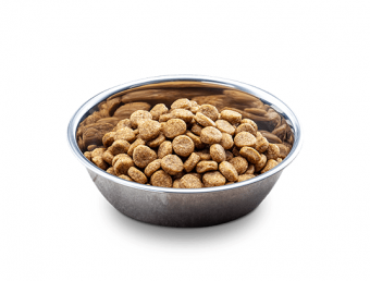 Корм Nutro Grain Free Dog Sensetive для собак с чувствительным пищеварением с лососем и экстрактом розмарина