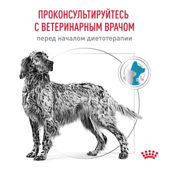 Royal Canin HYPOALLERGENIC (Гипоаллердженик) для собак при пищевой аллергии или пищевой непереносимости