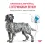 Royal Canin HYPOALLERGENIC (Гипоаллердженик) для собак при пищевой аллергии или пищевой непереносимости
