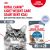 Паучи Royal Canin Light Weight Care для взрослых кошек для контроля набора веса мелкие кусочки в желе