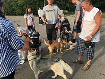 Дегустация в зоомагазине «Динозаврик» (Ул.Снежная, д.16к6)!