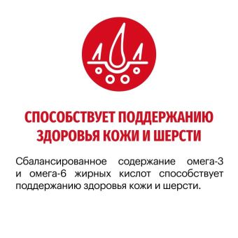 Корм Karmy Medium Junior для щенков средних пород с телятиной