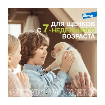 Водостойкий ошейник Форесто для собак до 8 кг от клещей, блох и вшей