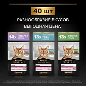 Влажный корм PRO PLAN® Delicate Digestion для кошек для чувствительного пищеварения с индейкой, ягненком, рыбой Влажный корм PRO PLAN® Delicate Digestion для кошек для чувствительного пищеварения с индейкой, ягненком, рыбой