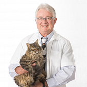 Комкующийся наполнитель Dr. Elsey’s Cat Attract для кошачьего туалета. Приучение к лотку