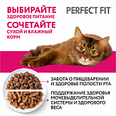 Сухой Корм Perfect Fit Junior для котят с курицей