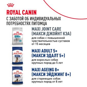 Корм сухой Royal Canin Maxi Adult для взрослых собак крупных размеров