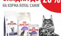 BLACK FRIDAY! Скидка до 20% на корма для кошек торговой марки Royal Canin!