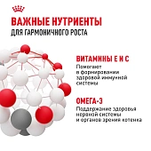 Консервированный корм для котят Royal Canin Kitten в возрасте до 12 месяцев в соусе Консервированный корм для котят Royal Canin Kitten в возрасте до 12 месяцев в соусе