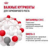 Консервированный корм для котят Royal Canin Kitten в возрасте до 12 месяцев в соусе