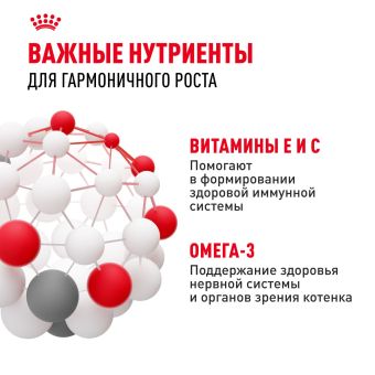 Консервированный корм для котят Royal Canin Kitten в возрасте до 12 месяцев в соусе