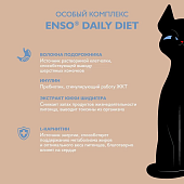 Паучи Enso Daily Diet для взрослых кошек для кожи и шерсти кусочки в соусе с форелью Паучи Enso Daily Diet для взрослых кошек для кожи и шерсти кусочки в соусе с форелью