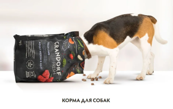 Корм Grandorf Fresh Dog Salmon Med&Maxi свежее филе лосося с бататом для взрослых собак крупных пород