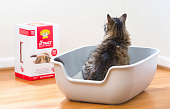 Комкующийся наполнитель Dr. Elsey’s Cat Attract для кошачьего туалета. Приучение к лотку