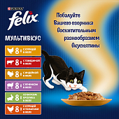 Влажный корм для кошек Felix Аппетитные кусочки: мультипак с курицей и мясом, пауч 85 г х 48 шт.