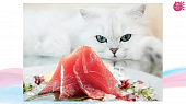 Паучи Inaba Kinnodashi для кошек с тунцом магуро и туннцом кацуо Паучи Inaba Kinnodashi для кошек с тунцом магуро и туннцом кацуо