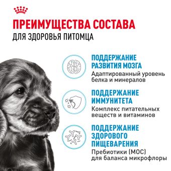 Корм для собак Royal Canin Корм Mini Puppy сухой для щенков мелких размеров до 8 месяцев
