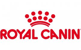 Скидка 15% на сухие корма для кошек и собак марки Royal Canin!