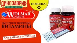 Витамины Wolmar Winsome в интернет магазине Динозаврик