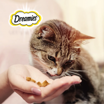 Лакомство Dreamies для кошек с сыром