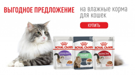 Паучи для кошек марки Royal Canin по сниженной цене!