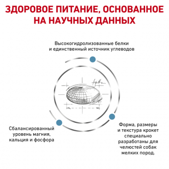 Royal Canin Hypoallergenic Small Dog Canine корм сухой диетический для взрослых собак при пищевой аллергии