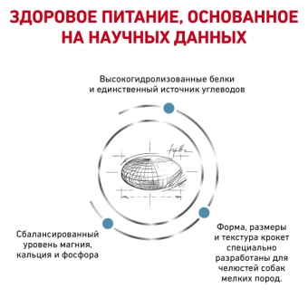 Royal Canin Hypoallergenic Small Dog Canine корм сухой диетический для взрослых собак при пищевой аллергии