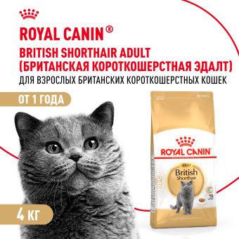 Корм сухой сбалансированный Royal Canin British Shorthair Adult для взрослых британских короткошерстных кошек