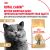 Корм сухой сбалансированный Royal Canin British Shorthair Adult для взрослых британских короткошерстных кошек