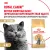 Корм сухой сбалансированный Royal Canin British Shorthair Adult для взрослых британских короткошерстных кошек Корм сухой сбалансированный Royal Canin British Shorthair Adult для взрослых британских короткошерстных кошек