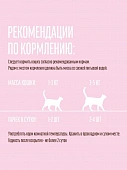 Паучи Деревенские Лакомства для кошек из филейной курицы в нежном желе Паучи Деревенские Лакомства для кошек из филейной курицы в нежном желе