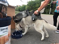 Дегустация в зоомагазине «Динозаврик» (Ул.Снежная, д.16к6)!