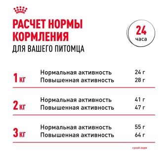 Корм для собак Royal Canin Chihuahua Adult сухой для взрослых собак породы Чихуахуа от 8 месяцев