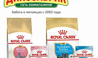 Позаботьтесь о будущем питомца с Royal Canin и "Динозавриком"!