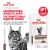 Паучи Royal Canin Gastrointestinal Moderate Calorie для кошек, склонных к набору веса при расстройствах пищеварения