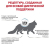 Корм Royal Canin Skin&Coat Formula для стерилизованных кошек с повышенной чувствительностью кожи