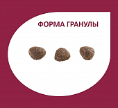 Сухой Корм Granplus Dog для взрослых собак мелких пород с лососем и цыплёнком Сухой Корм Granplus Dog для взрослых собак мелких пород с лососем и цыплёнком