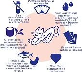 Паучи Inaba Chiao Kinnodashi для кошек с тунцом Магуро и тунцом Кацуо с сёмгой Паучи Inaba Chiao Kinnodashi для кошек с тунцом Магуро и тунцом Кацуо с сёмгой