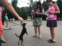 Дегустация в зоомагазине «Динозаврик» (Ул.Снежная, д.16к6)!