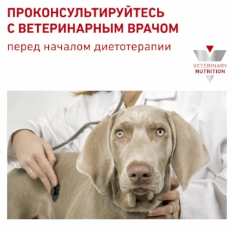 Royal Canin Sensitivity Control SC 21 Canine корм сухой диетический для взрослых собак при пищевой аллергии
