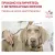 Royal Canin Sensitivity Control SC 21 Canine корм сухой диетический для взрослых собак при пищевой аллергии