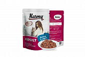 Паучи Karmy Adult Cat для взрослых кошек и котов с лососем в соусе Паучи Karmy Adult Cat для взрослых кошек и котов с лососем в соусе